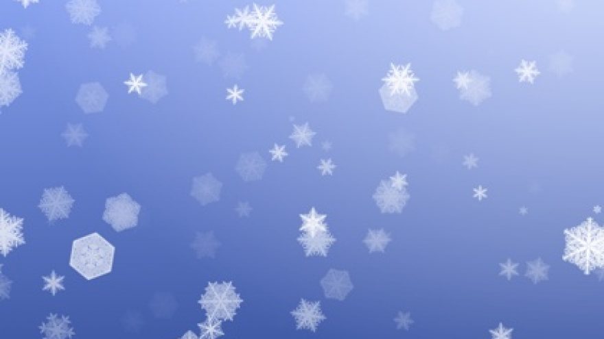 “Snaigės” žygis Kačerginėje