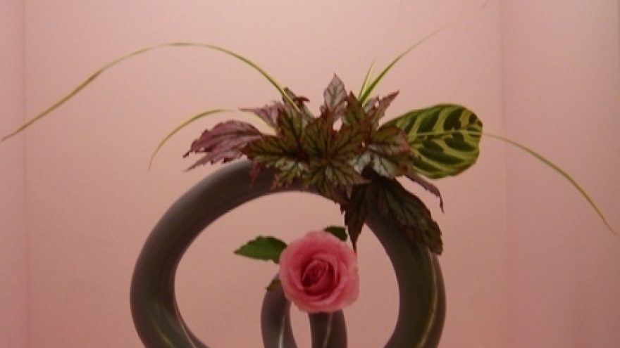 Žmogaus ir gėlės pašnekesys – ikebana