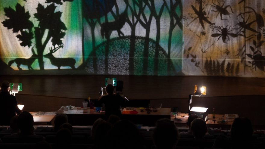 „Stalo teatro“ audiovizualinis spektaklis „Kelionė į kitą mišką“