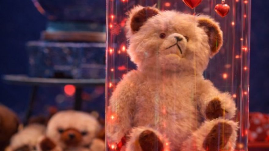 Valentino diena Meškinų muziejuje ”PLUSHY B 55”