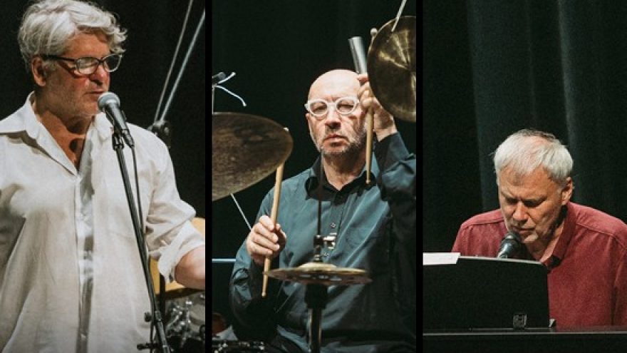 LIUDVIKAS. KITOJ MIŠKO PUSĖJ