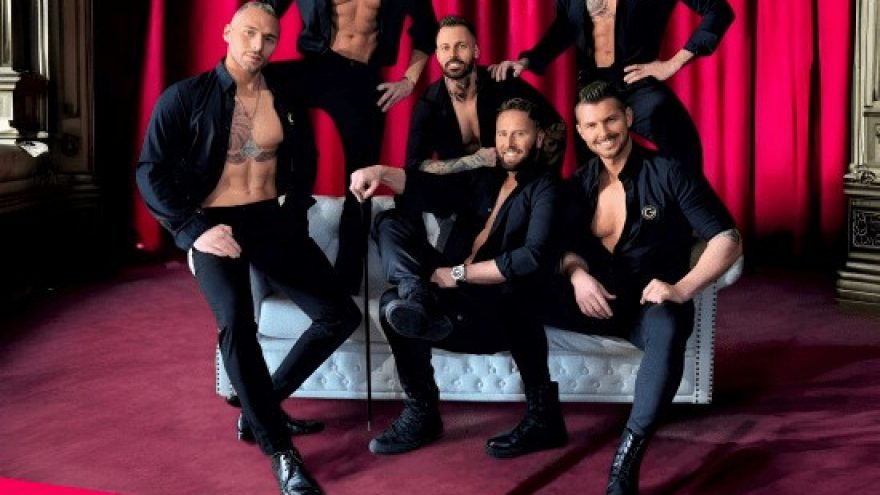 The Gentlemen (Slovakija). Erotinis vyrų šou