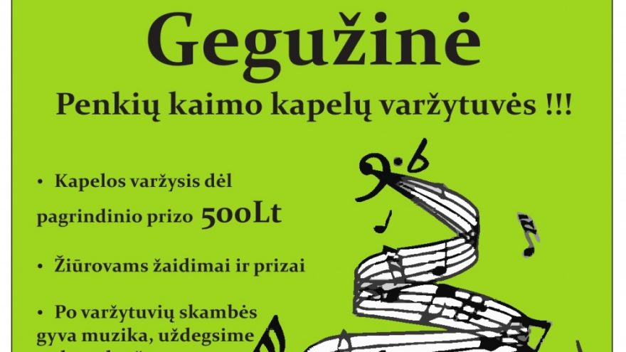 Gegužinė- grok, dainuok, šok !
