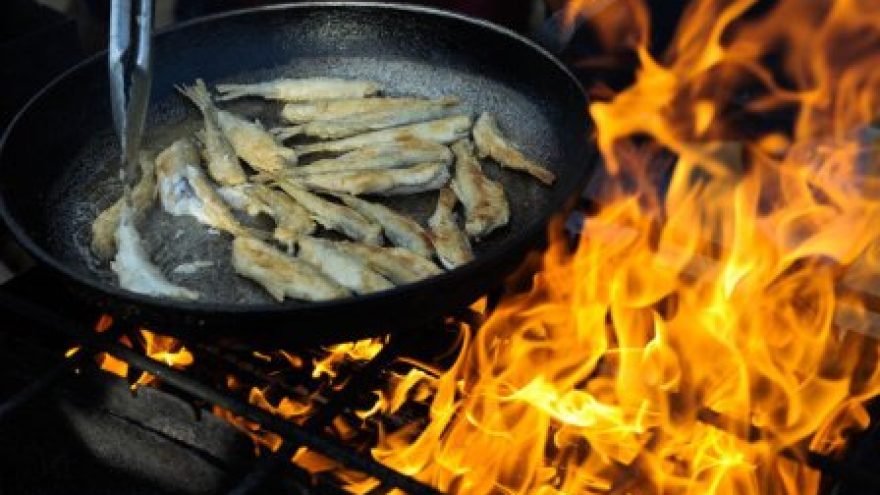 Palangos stinta 2012