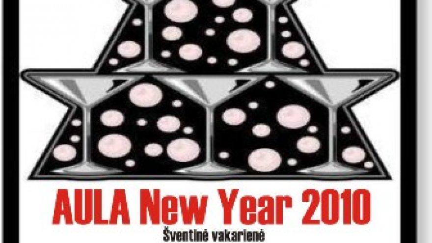 Naujųjų metų sutikimas AULOJE