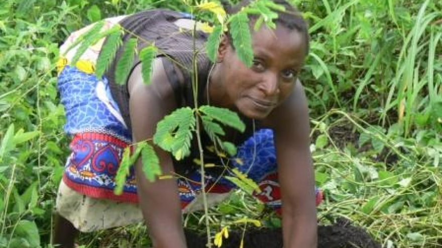 Paskaita “Popierius: tikrovė ir mitai”