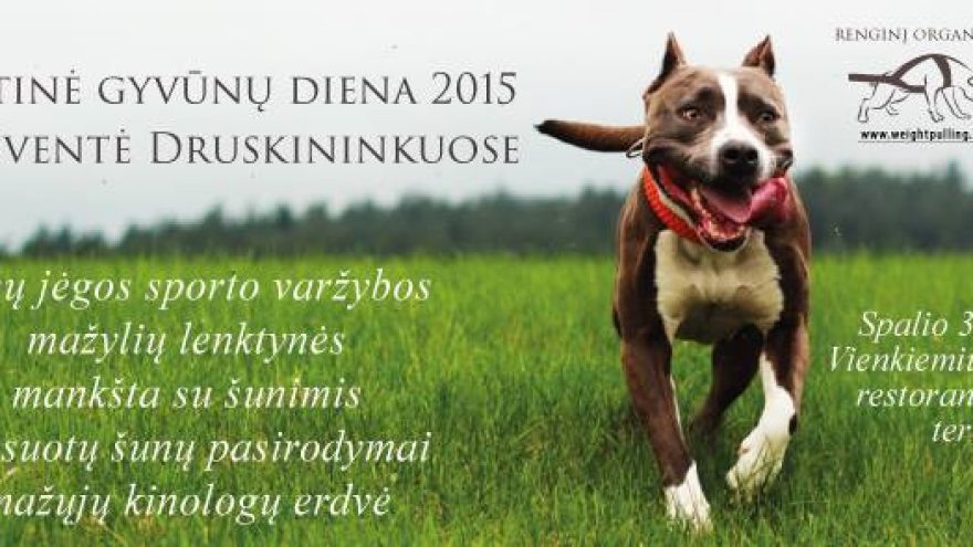 Gyvūnų diena 2015 – sporto šventė Druskininkuose