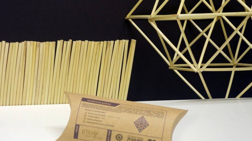 ETNOGALVOSŪKIO “DANGAUS SODAS” pristatymas ir dirbtuvės