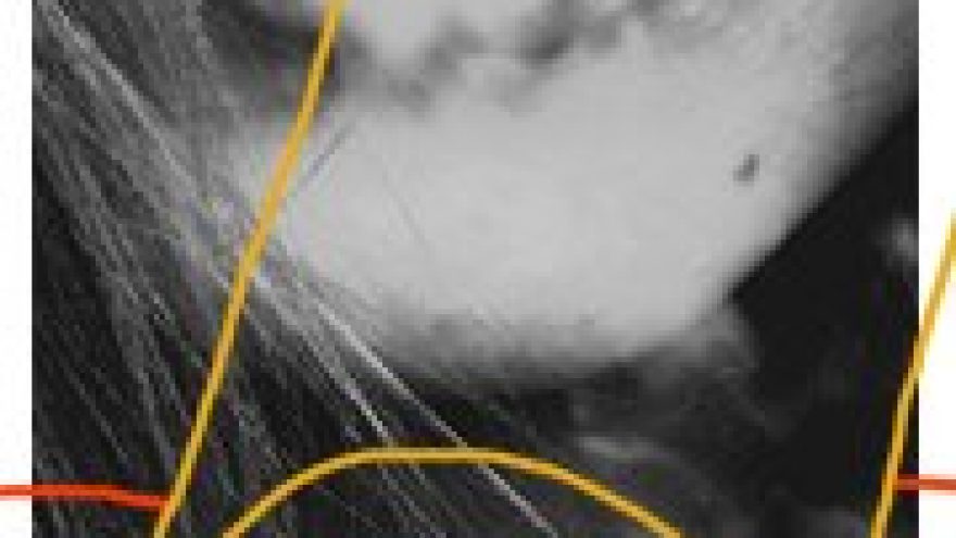 GLUCK 2×2: Komža & Pranciškus, Simao & EK