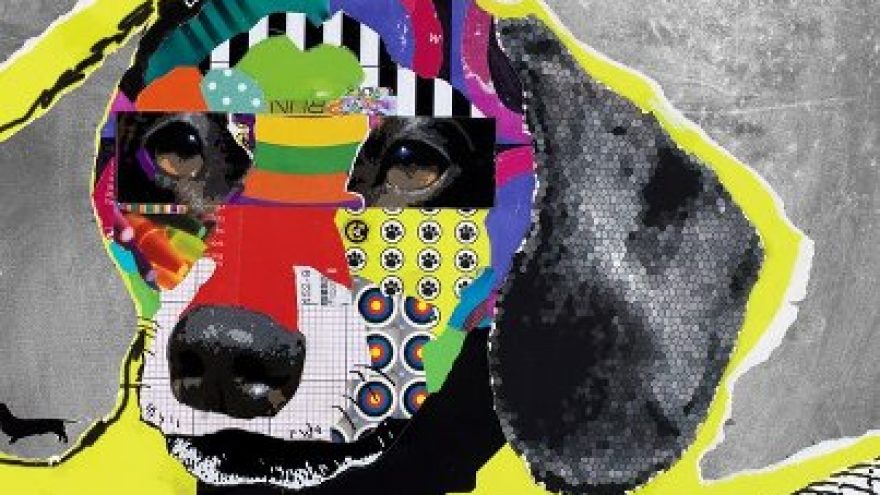 Kūrybos valandos “Pliažas ir koliažas”