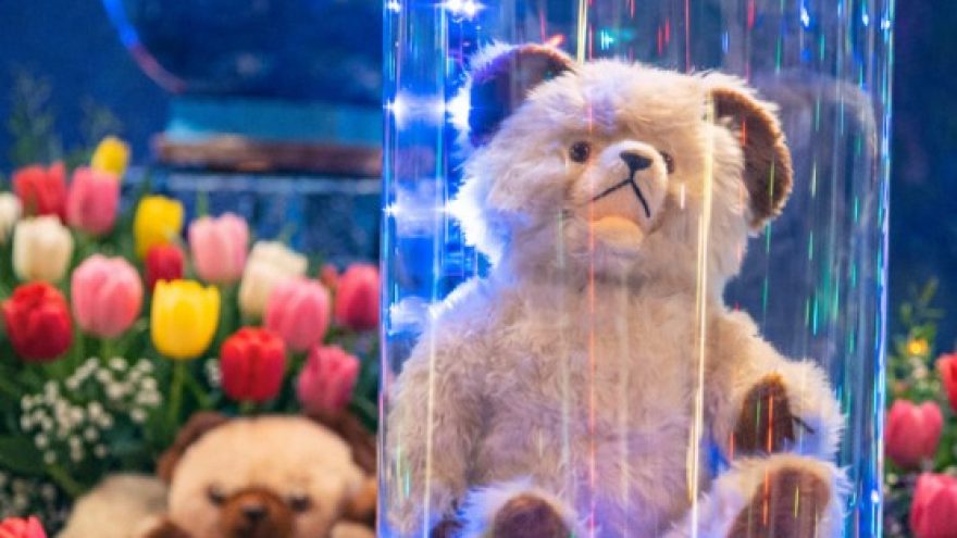 Moters diena Meškinų muziejuje ”PLUSHY B 55”