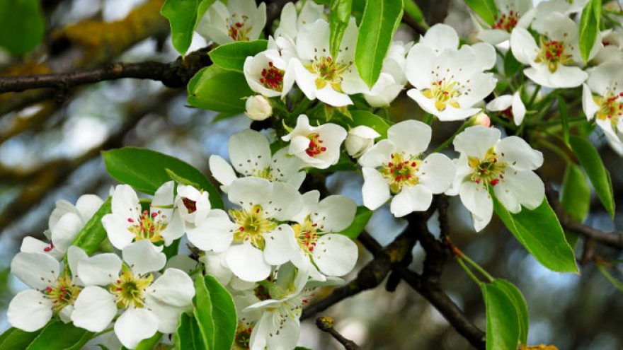 Nemokama Joninių ekskursija “Paparčio žiedo beieškant”