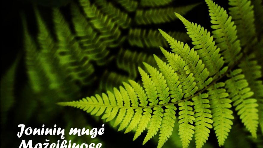 Joninių mugė Mažeikiuose