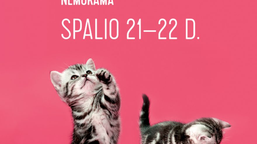 Kačių paroda + ŽAIDIMAS