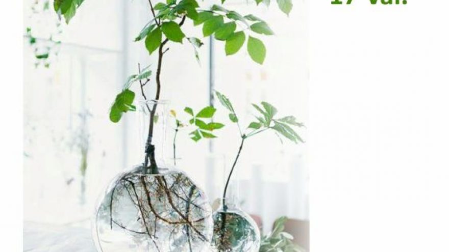 Lektorė Giedrė Lukienė kviečia į paskaitą „Mažiau yra daugiau“ apie namų tvarkymosi meną ir atsakingą vartojimą