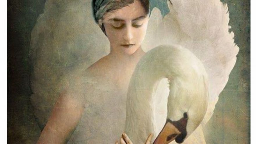 Edukacinė popietė „Gulbė karaliaus pati“