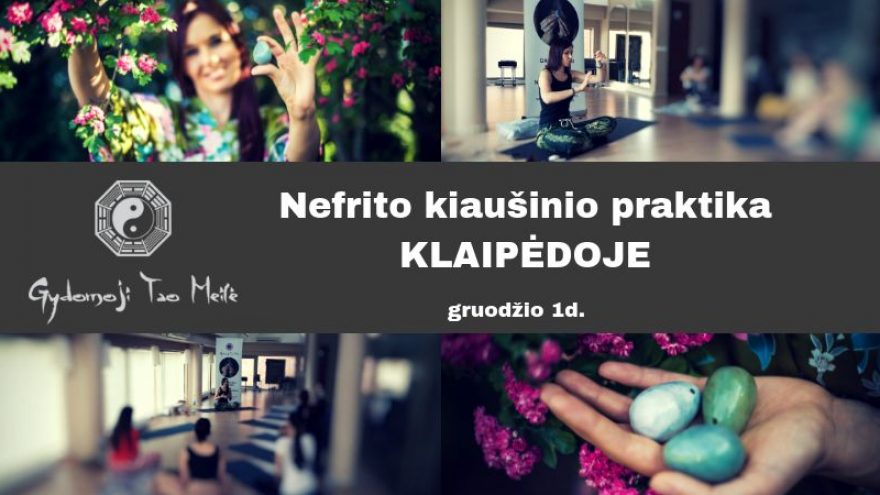Nefrito kiaušinio praktika Klaipėdoje