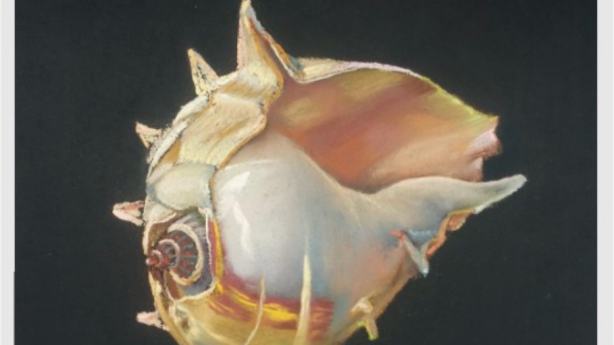 Romualdo Vaitkaus personalinė paroda