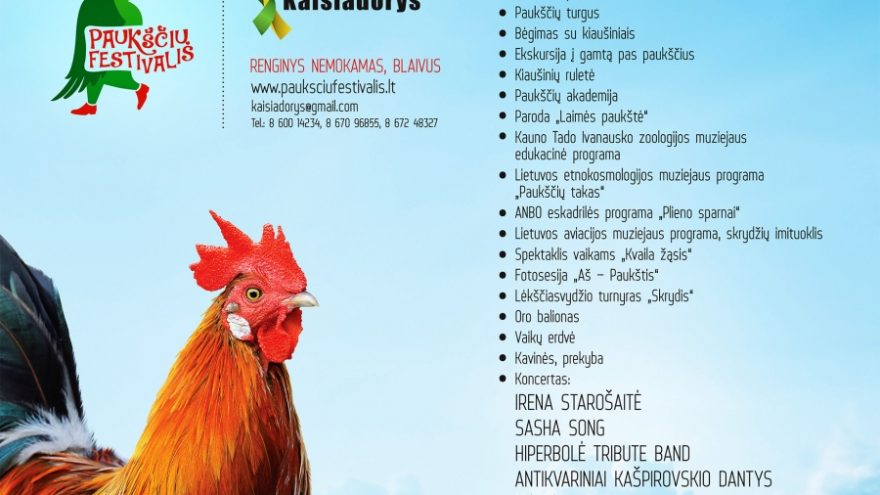 Paukščių festivalis