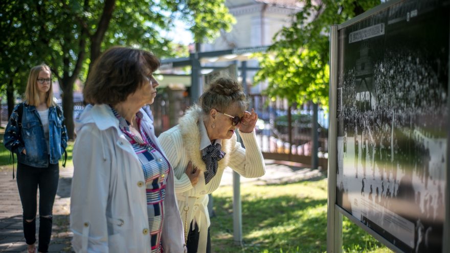 Vasaros sodo istorijos