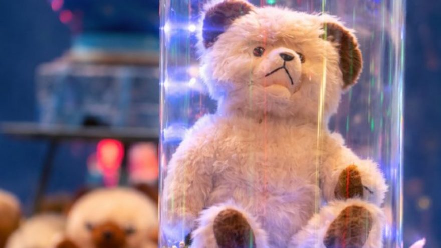 Mamos diena Meškinų muziejuje ”PLUSHY B 55”