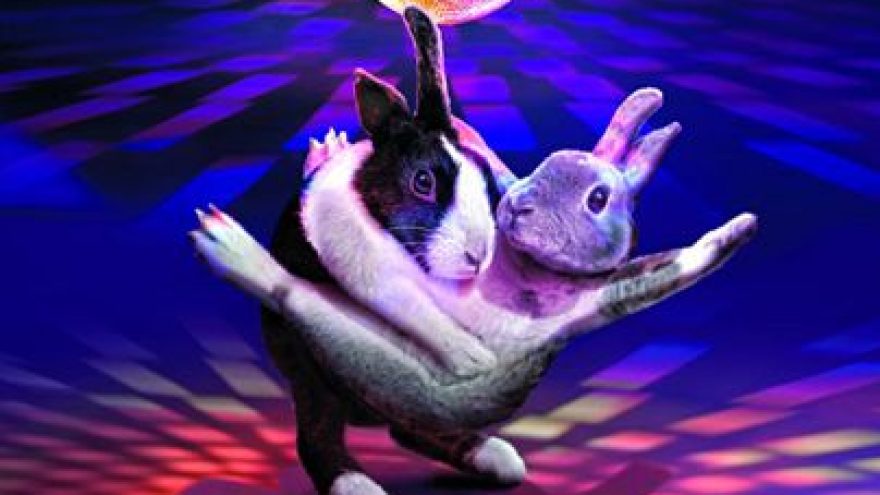 Renginys vaikams “Velykos Disko rimtu”