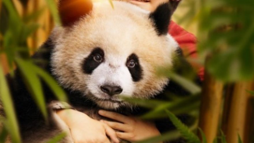 ”Panda vardu Mėnulis”