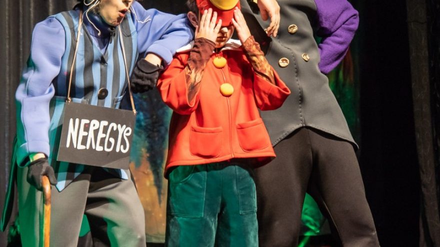 Premjera vaikams ”Pinokis”