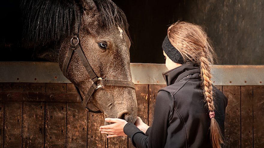 Edukacinė programa vaikams žirgyne
