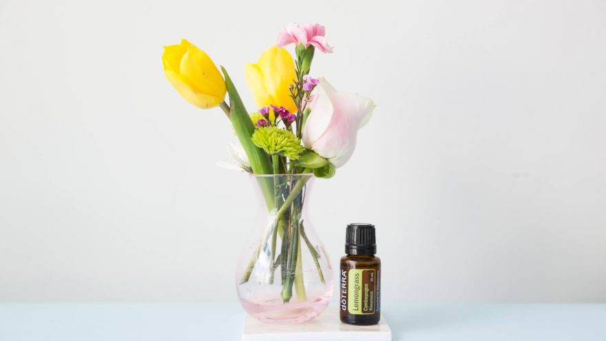 Gydomoji terapija „Mamai iš visos širdies“