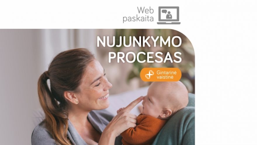 LIVE: Web Seminaras „Nujunkymo procesas“
