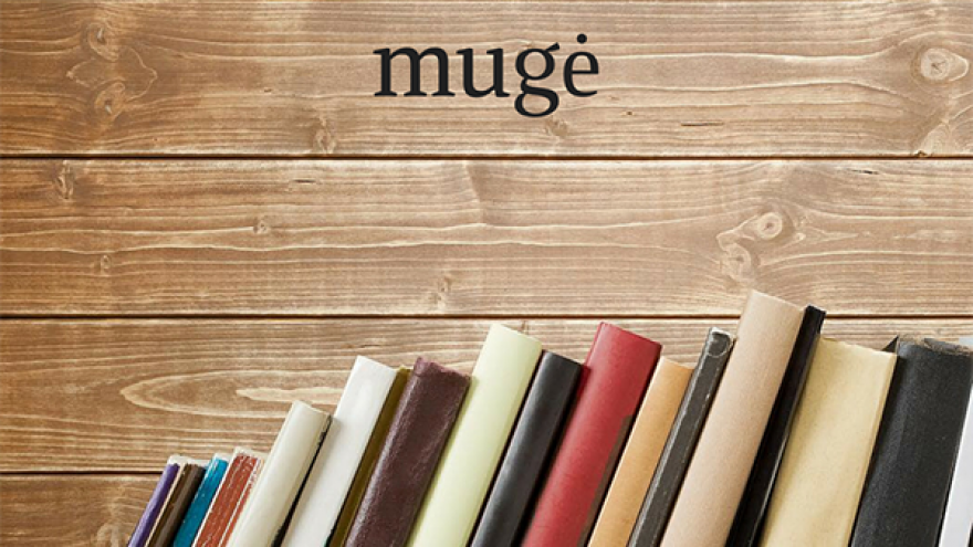 Netradicinė knygų mugė