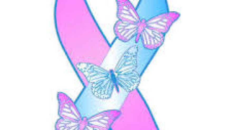 Interaktyvus seminaras: “Ką išgyvena šeima netekus kūdikio?”