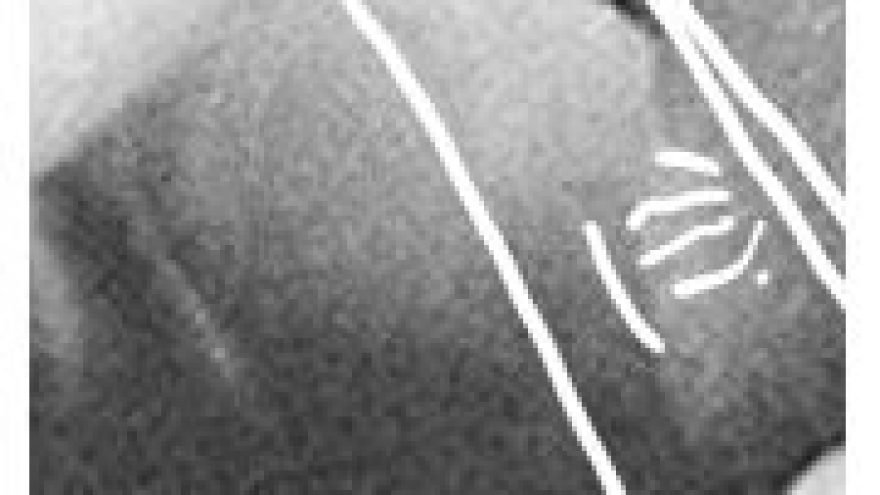 Gluck ketvirtadienis: Noruišis & Deneez