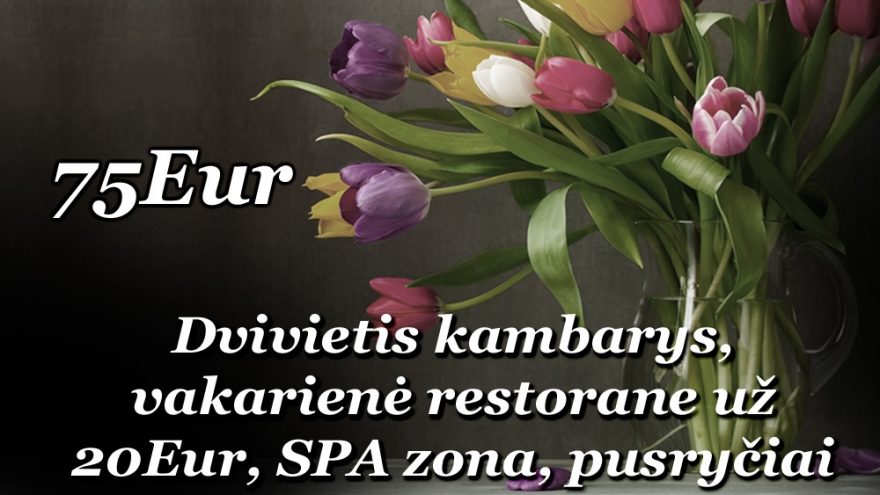 Kovo 8-osios pasiūlymas Rimuošės Dvare