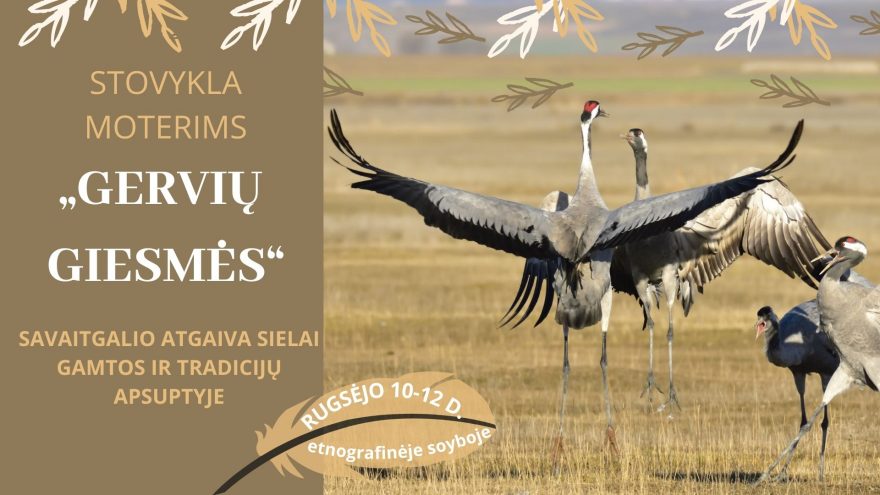 Stovykla moterims „Gervių giesmės“