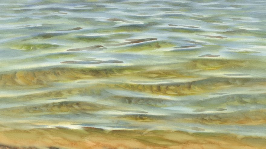 Naktinė meno degustacija lapkričio 22 d.| AP galerija