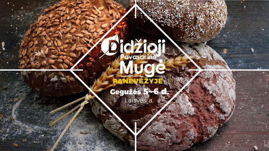 DIDŽIOJI PAVASARINĖ PANEVĖŽIO MUGĖ