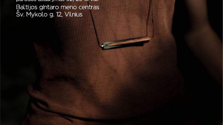 R. Vrubliauskaitės parodos “VARVA” atidarymas