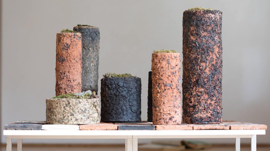 M. Mikelėnaitės keramikos paroda “Entropija”