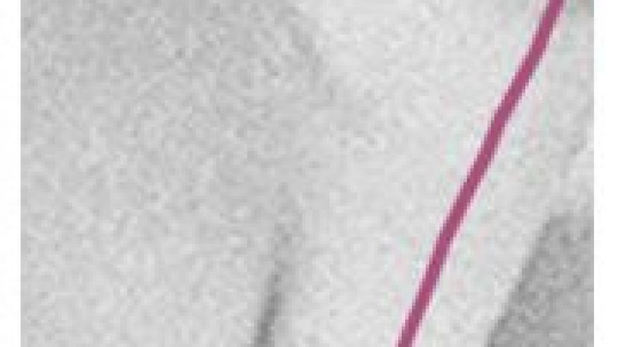 Rudens užbaigtuvės: Misha Berloga & C Sounds DJs