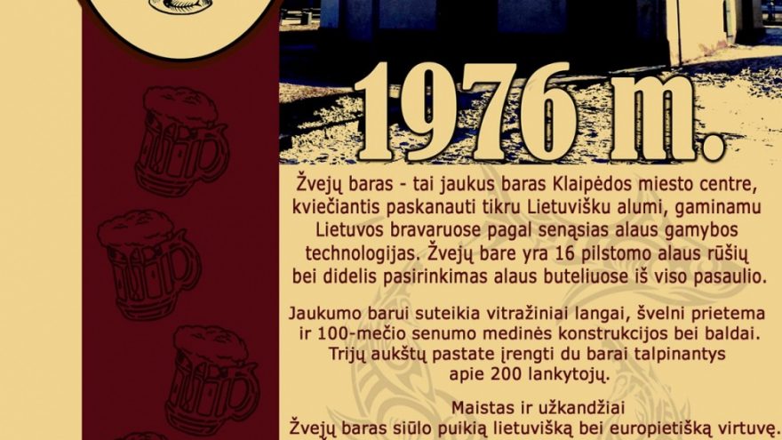 Koncertuoja “SAVI”