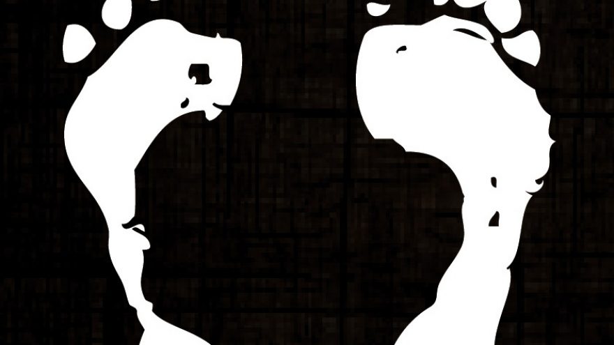 Grupės “Basi” koncertas