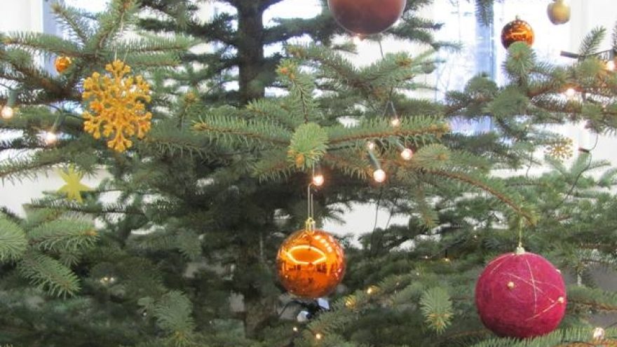 „Trijų Karalių belaukiant”