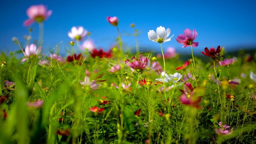 Vienos dienos stovykla moterims “Diena sau”