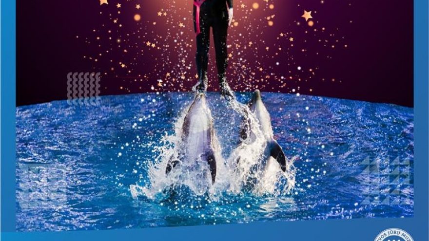 “Delfinai ir Žvaigždės”