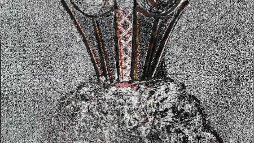 Suknelė su fantazija