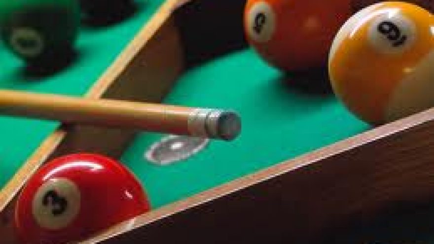 Lietuvos pool-9 čempionatas 2011