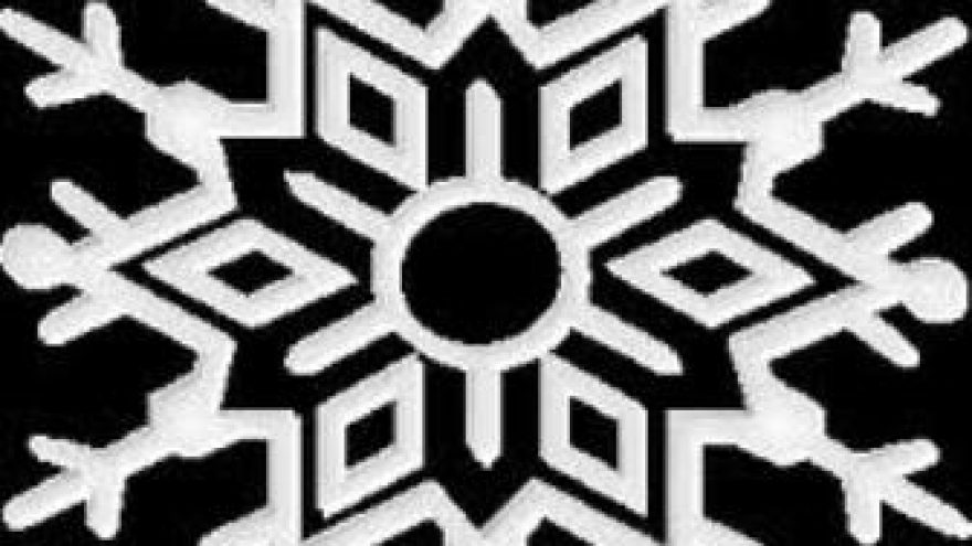 “Snaigės” žygis Karmėlavos miške