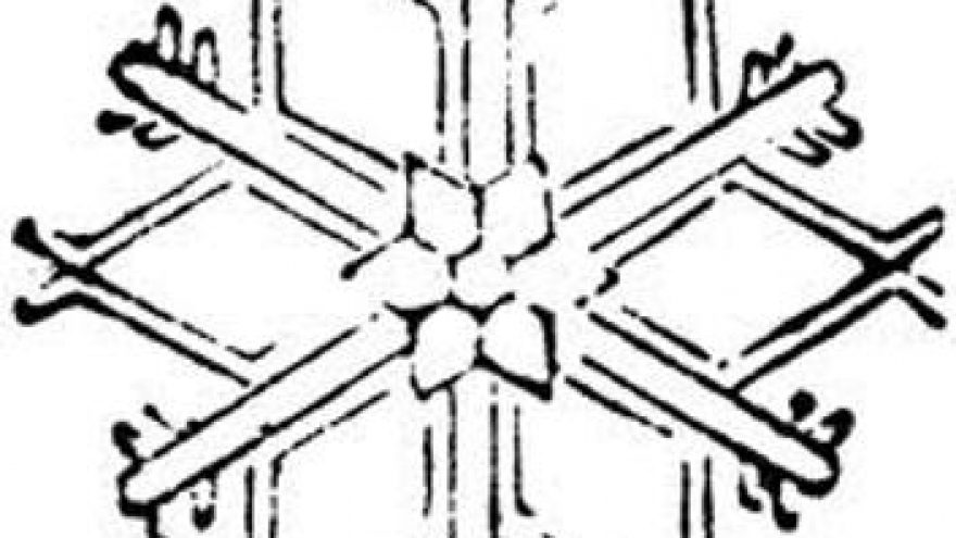 “Snaigės” žygis Aukštagirio miške